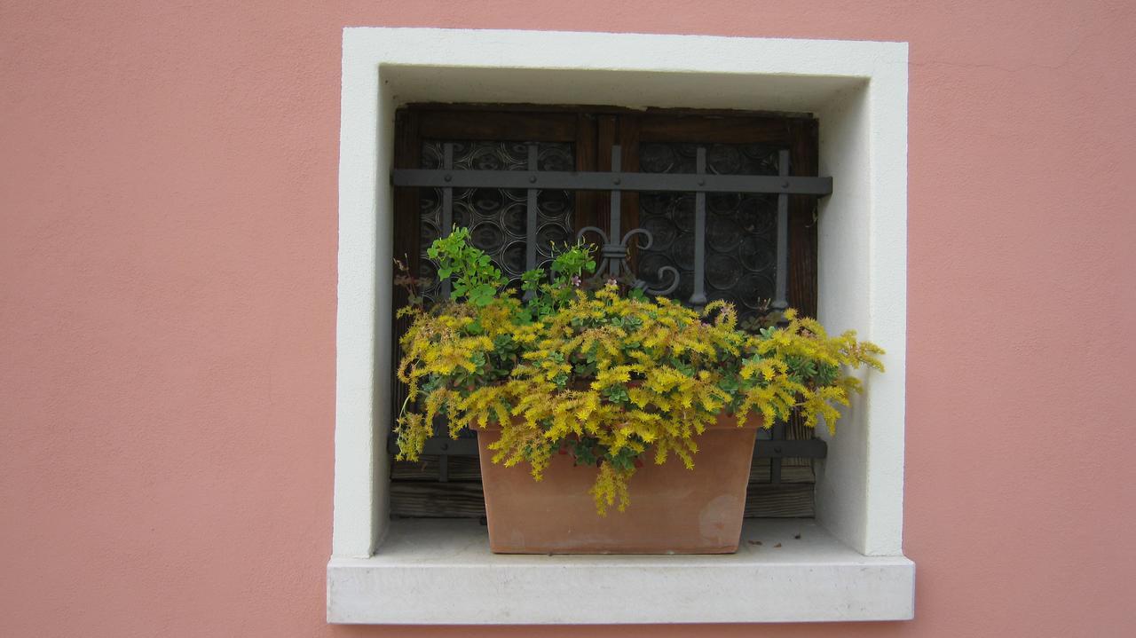La Residence da Caterina Vittorio Veneto Exterior foto